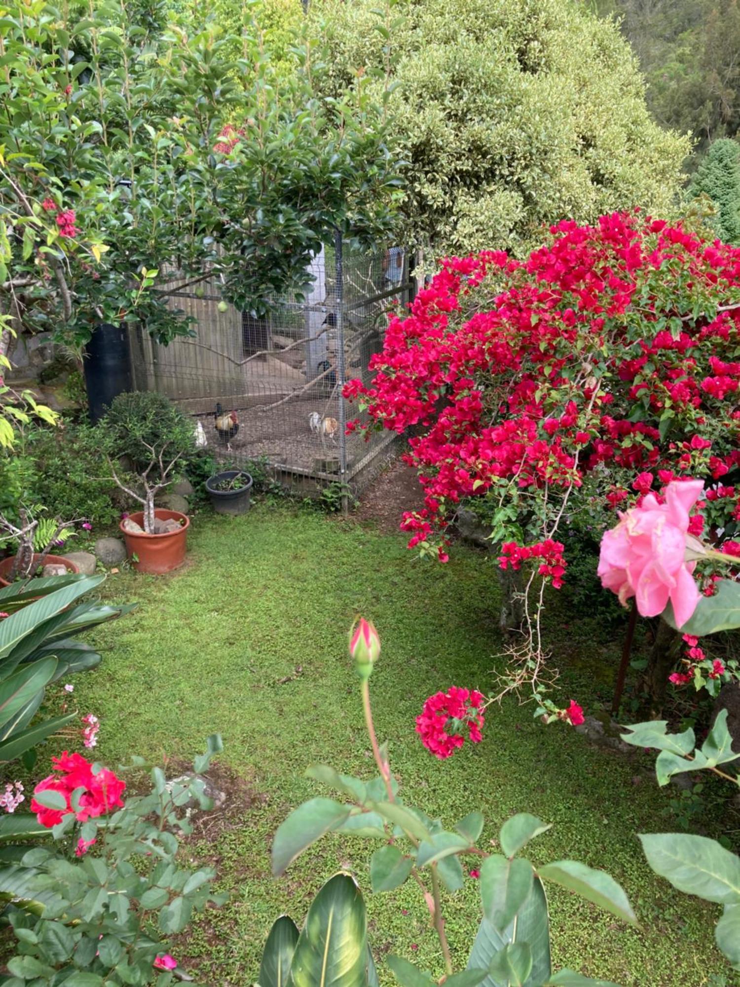 فيلا Les Begonias سيلاوس المظهر الخارجي الصورة
